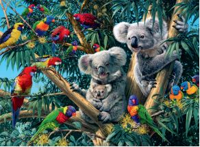 Ravensburger - Koala dans un arbre, 500 - 500 PIÈCES - RAVENSBURGER