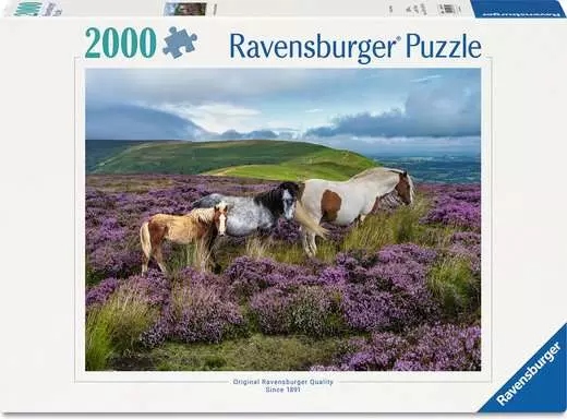 Ravensbur - Wild Horses in the Heather - 2000 PIÈCES ET PLUS - RAVENSBURGER