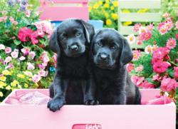 CASSE-TETE 500XL BLACK LABS - CASSE-TÊTE ADULTES - EUROGRAPHICS