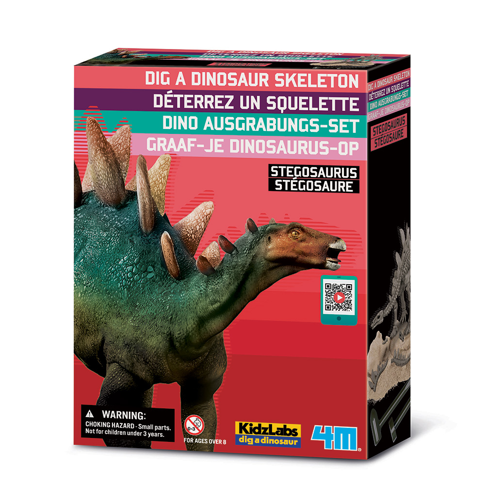 Déterrez un squelette - Stégosaure - JEUX DE SCIENCE - 4m