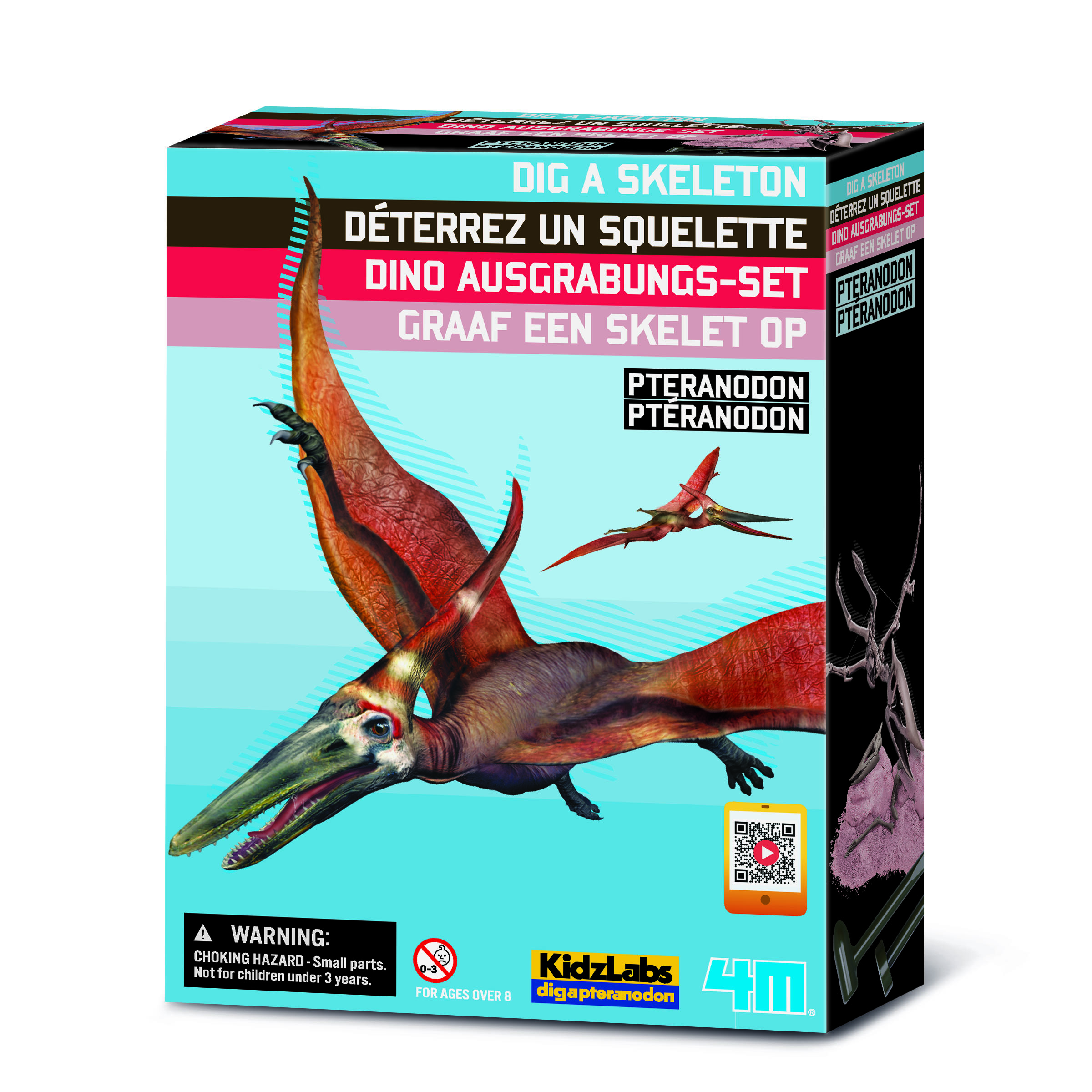 Déterrez ton squelette - Ptéranodon - JEUX DE SCIENCE - 4m