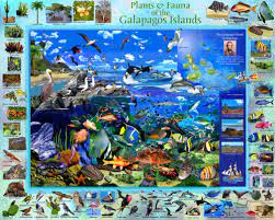 Vermont - Galapagos, 1000 pces - 1000 PIÈCES - VERMONT